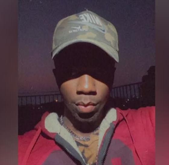 Anesu Praise Web Designer